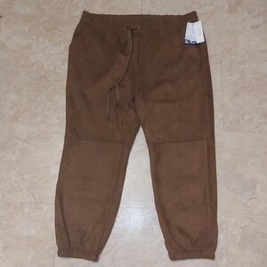 Faux suede  joggers bnwt size 2X